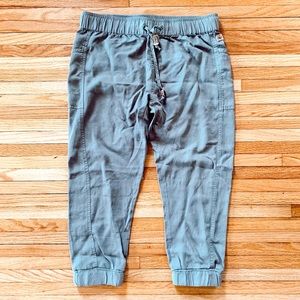 Women’s Tentree Jogger Pants